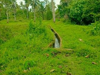 Siargao Island Large Farmland Fit for Organic Farming with Water Source and Right of Way Near the Airport Php 150 per sqmtr only
