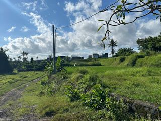 DIJUAL TANAH KOSONG DI JL. IDA BAGUS MANTRA - DENPASAR