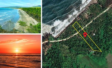 9,900 m2 / 2.25 Acres | Golden Sunset Ocean Beachfront Estate