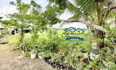 Titled Lot For Sale in Butuan City Center