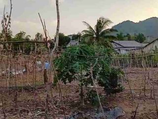 dijual cepat tanah view gunung