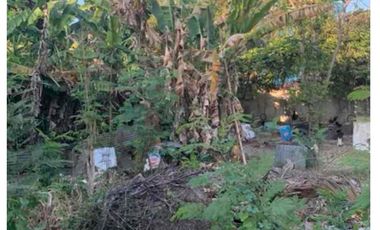 125 sqm Residential Subd. Lot for sale in Saint Jude Acres Bulacao, Cebu City