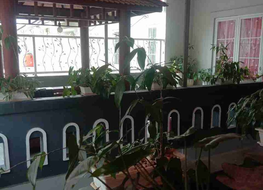 place photo 8