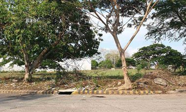 PRIME INDUSTRIAL LOT FOR SALE – CARMONA, CAVITE