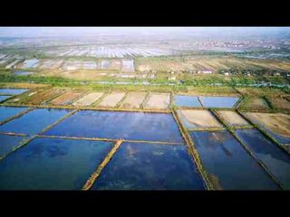 dijual tambak  12.6 ha di brebes