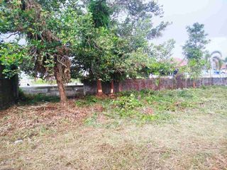 Jalan wortel 3 UK.10x23 SHM