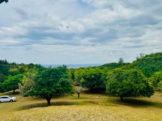 For Sale Farm Lot Argao Cebu
