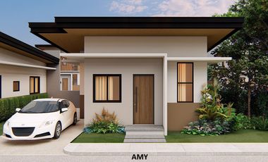 Single Storey house and lot
