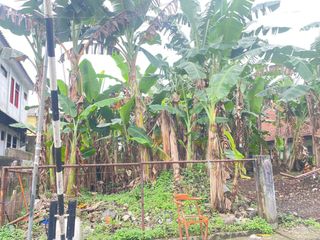 Dijual Cepat Kavling Dekat Stasiun Bogor
