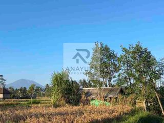 Tanah Pejeng Kangin Dekat Ubud