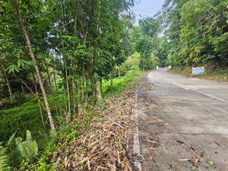 1,684 sqm lot for sale near Tagbilaran City Bohol 1,000 per sqm