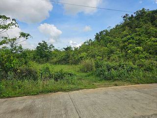 9,000 sqm clean title near Tagbilaran City , Bohol 500 pesos per sqm