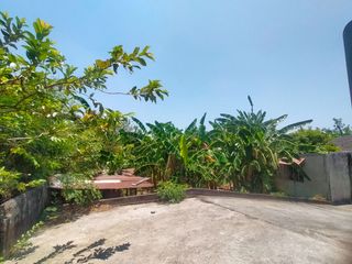 Ready Farm Lot For Sale in Calamba Bypass road