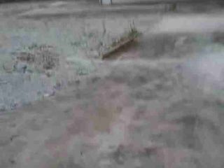 Di Sewakan Lahan ada Gudang Kecilnya Dekat Area Pulo Gadung
Akses Container