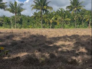 RUSH SALE FARM LOT in Carcar City , Cebu , Philippines
