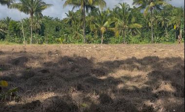 RUSH SALE FARM LOT in Carcar City , Cebu , Philippines