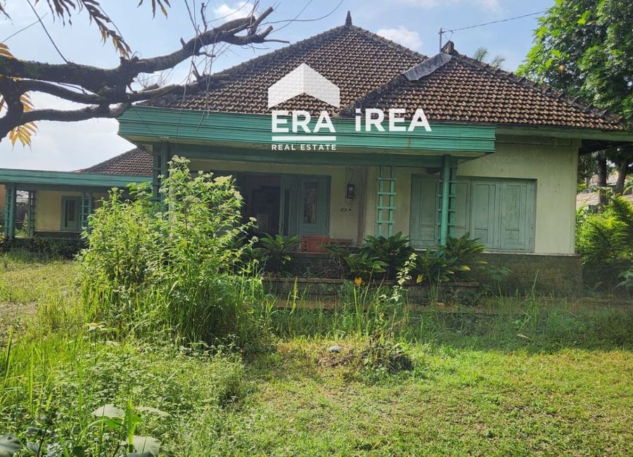 place photo 3
