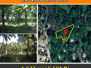 1,677 m2 / 18,062 ft2 | Central Estate at the El Nido Airport
