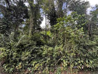 Tanah Ladang dengan View sawah dan perbukitan Sidemen Lingkungan Villa