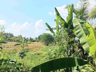 Tanah 166 M2 Lingkungan Perumahan Abiansemal Badung Bali