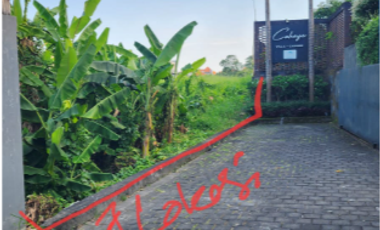Tanah di Berawa Canggu