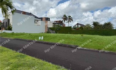 Tanah Teras Ayung Gatot Subroto Bali Kompek Elite Mewah