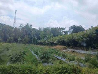 Tanah SHMS pinggir jln di Pakem Sleman view Merapi