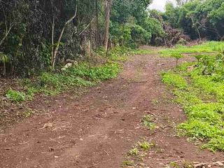 Residential Farm Lot 250 sqm Installment 5 yrs 0% Interest.