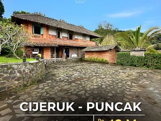 For Sale Ethnic Villa, View Gunung Fully Furnished