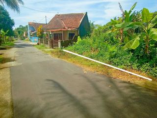CUMA 350 JUTA! TANAH VIEW SAWAH AKSES ASPAL