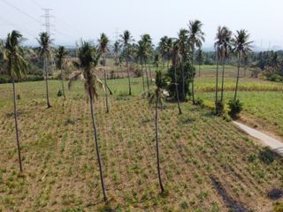 20 Hectares Agricultural Lot for Sale in Calaca Batangas | Along Cemented Road RAS