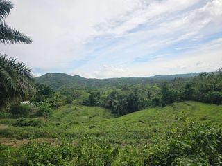 10.5839 hectares/105,839 sqm clean title for sale in Dagohoy Bohol Philippines