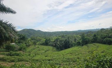 10.5839 hectares/105,839 sqm clean title for sale in Dagohoy Bohol Philippines