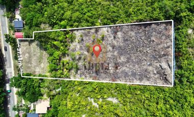 4,635 sqm Sea View Lot Along National Road for Sale - Maribojoc