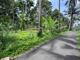 Tanah SHM Zona Kuning Ubud Pinggir Jalan Utama | View Jungle | 2 Are