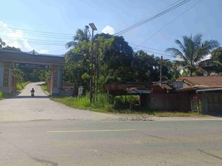 Jual Tanah Pinggir Jalan Strategis Hook Depan Gerbang Masuk Desa Budaya Pampang
