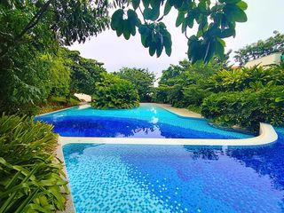 [For Sale] Tambuli Seaside Resort and Spa / Studio - A room where you can enjoy a tropical resort atmosphere🏝️🌊🏖️