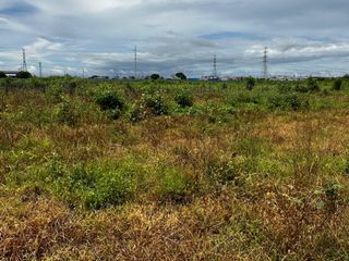 AGRICULTURAL LOT WITH INDUSTRIAL POTENTIAL NEAR NATIONAL HIGHWAY JASA  ROAD | BACOLOR PAMPANGA
