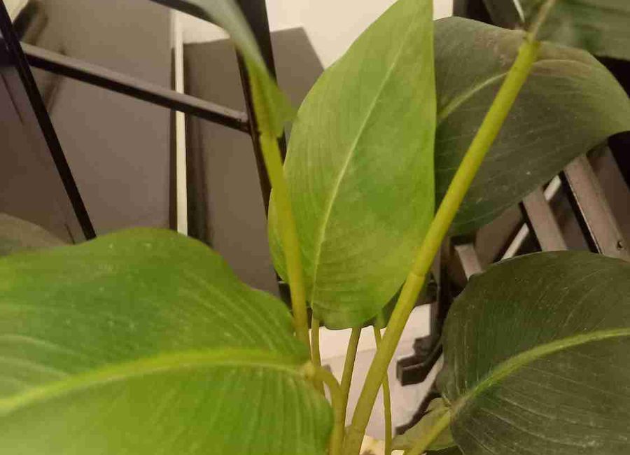 place photo 44