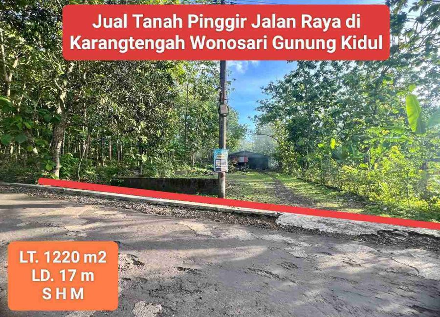 place photo 1