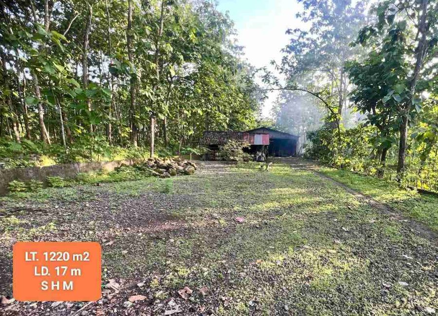 place photo 7