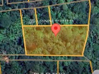 DIJUAL TANAH DI GREEN FARMER CULTURE - BULELENG, BALI (DH)