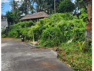 Tanah 185 m2 di Semana Ubud