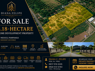 FOR SALE | 6.18-Hectare Prime Development Property Mexico Pampanga