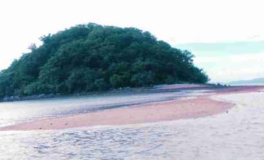 Whole Island