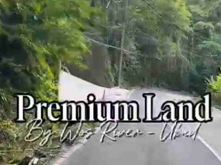 PRIME LOCATION IN WOS RIVER NEAR CAPELLA RESORT UBUD