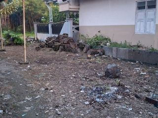tanah disewakan kesamben jombang