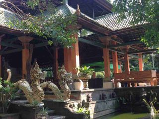 dijual tanah 6030m² bonus villa Kawasan ubud gianyar bali