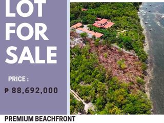 PREMIUM BEACHFRONT LOT FOR SALE - Tabalong Dauis Bohol