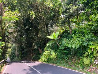 DIJUAL TANAH PREMIUM – PINGGIR JALAN UTAMA DESA BUAHAN, PAYANGAN – GIANYAR